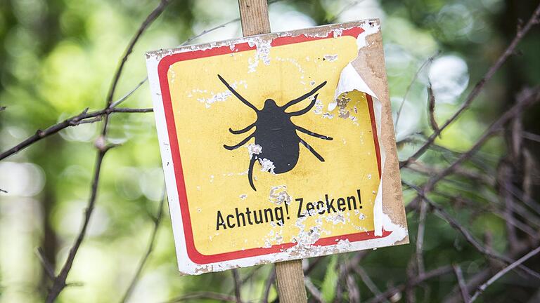 Bei Aktivitäten im Freien sollte man sich durch Schutzmaßnahmen vor Zeckenbissen schützen.