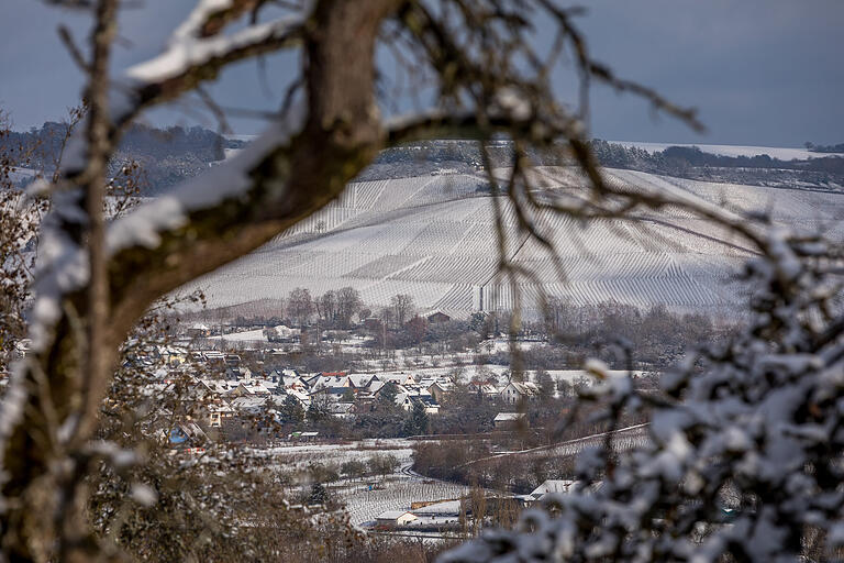 Wandern auf der Volkenberg-Runde zwischen Erlabrunn und Leinach. Blick über den Main auf Thüngersheim und die eingeschneiten Weinberge dahinter. Wandern auf der Volkenberg-Runde zwischen Erlabrunn und Leinach. Blick über den Main auf Thüngersheim und die eingeschneiten Weinberge dahinter.