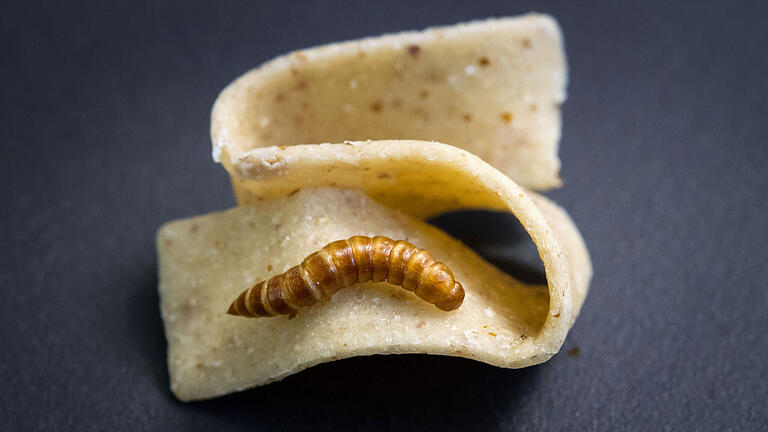 108071450.jpg       -  Insekten dürfen dank einer neuen EU-Verordnung in Lebensmitteln verarbeitet werden. Doch wie erkennt man das auf der Verpackung?