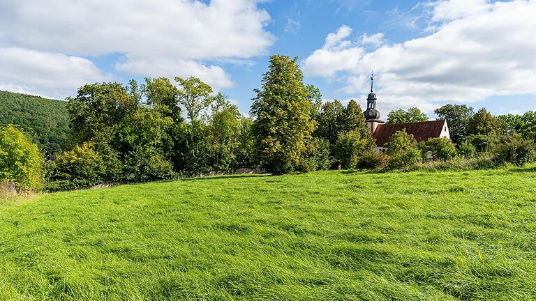 Eine abgespeckte Planung sieht am Michaelsberg nur noch eine Koppel mit zwei Weideschutzhütten und einem Longierplatz vor.