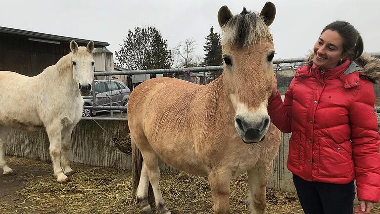 Lehrerin Mona Schwanfelder mit dem jüngsten und dem kleinsten Ross im Stall der Abtei Münsterschwarzach. Lehrerin Mona Schwanfelder mit dem jüngsten und dem kleinsten Ross im Stall der Abtei Münsterschwarzach.