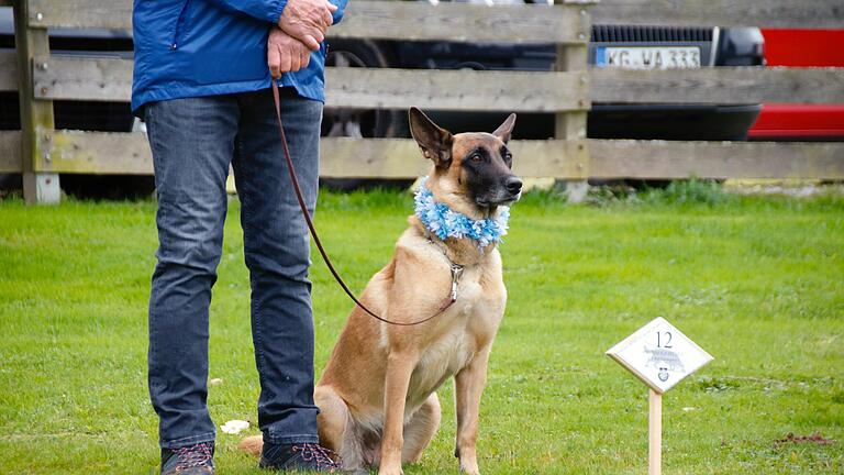 Bayerische Meisterschaft der Fährtenhunde in Bad Kissingen - Bayerische Meisterschaft der Fährtenhunde in Bad Kissingen. Bayerische Meisterschaft der Fährtenhunde in Bad Kissingen - Bayerische Meisterschaft der Fährtenhunde in Bad Kissingen.