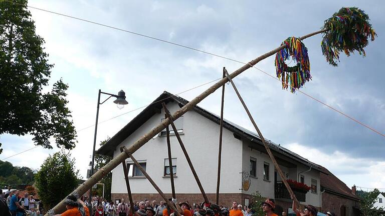 Muskelkraft war gefragt beim Aufrichten des 23 Meter hohen Kirchweihbaums.