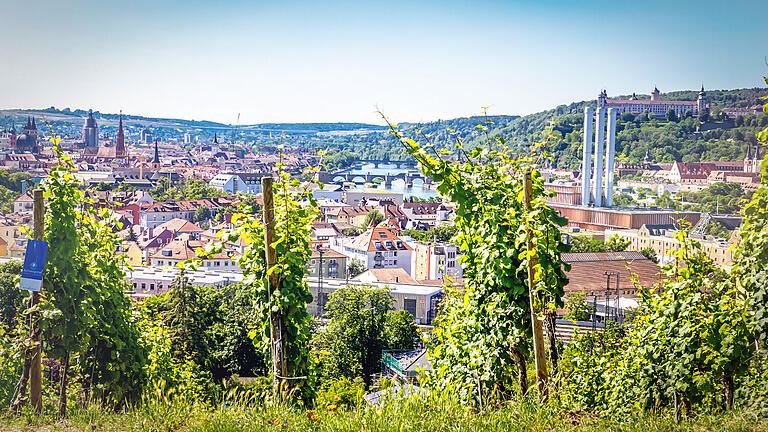 Blick in den Würzburger Talkessel.