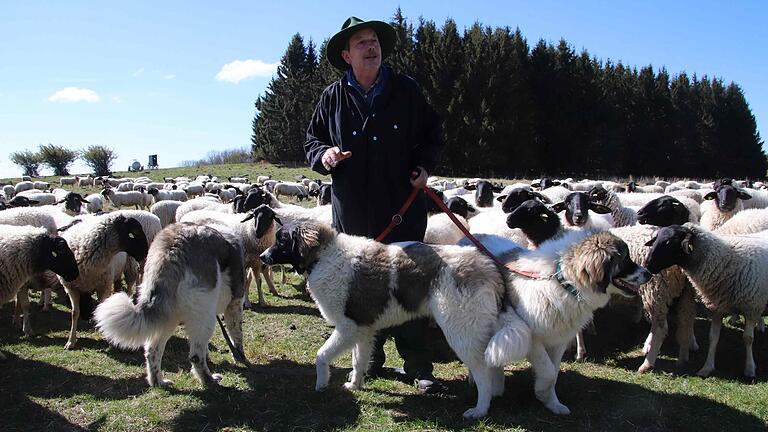 Rhönschäfer Josef Kolb will seine Herde künftig mit drei Herdenschutzhunden vor Wolfsangriffen schützen.