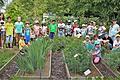 Die Heilpflanzen-Expertin Karin Kissel scharte die AWO-Schulhort-Kinder im Strabo-Garten um sich, um ihnen die Bedeutung der Heilkräuter zu vermitteln.