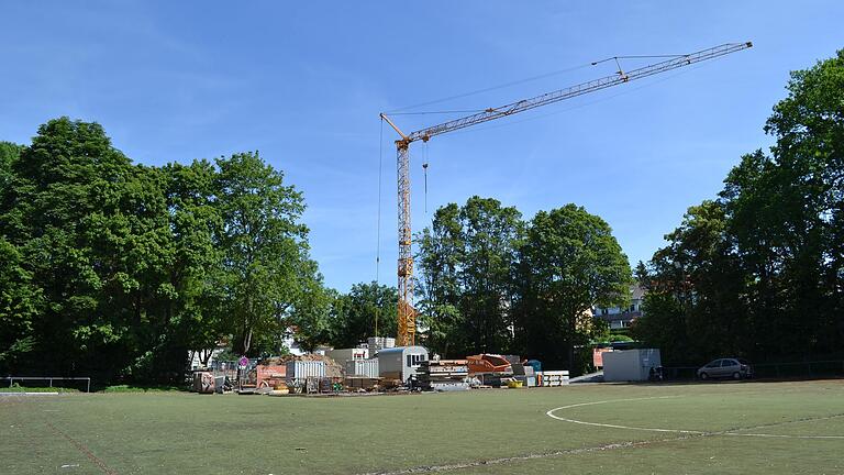 Ein Loch im Baumgürtel um den Kunstrasenplatz des SC 1900 Schweinfurt: Dort, wo nun der Kran für die Arbeiten am Umbau der Sparkassen-Filiale steht, wurden acht alte Eichen gefällt. Ein Loch im Baumgürtel um den Kunstrasenplatz des SC 1900 Schweinfurt: Dort, wo nun der Kran für die Arbeiten am Umbau der Sparkassen-Filiale steht, wurden acht alte Eichen gefällt.