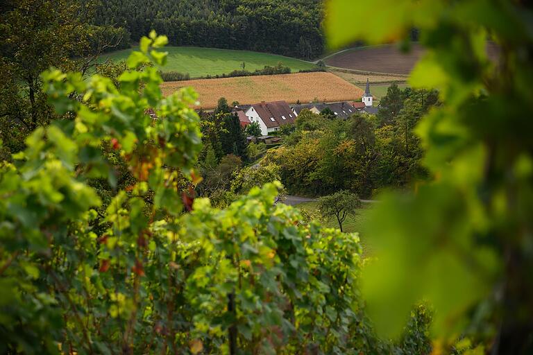 Der Weg Richtung Wirmsthal oberhalb der Weinberge ist einer der schönsten Abschnitte der Tour. Hier ruhig mal anhalten, gibt einige Möglichkeiten. Der Weg Richtung Wirmsthal oberhalb der Weinberge ist einer der schönsten Abschnitte der Tour. Hier ruhig mal anhalten, gibt einige Möglichkeiten.