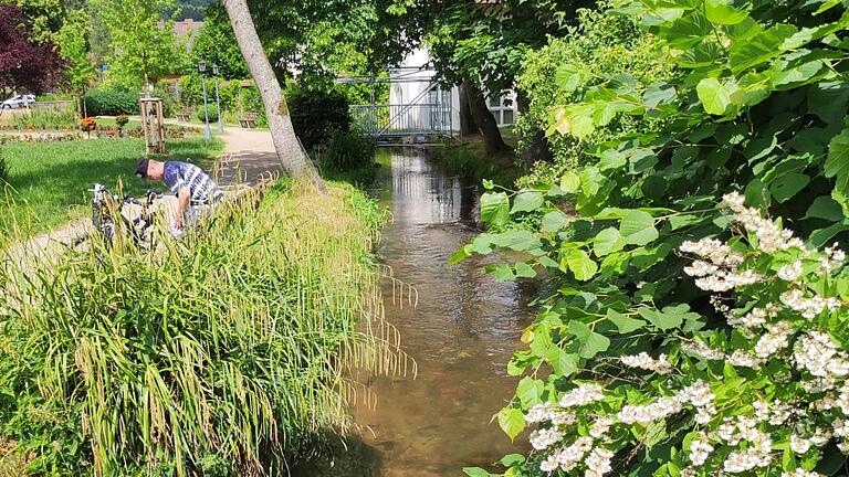 Der Mühlgraben im Siebener-Park soll Teil und einer der Attraktionen des Wasserwegs werden.       -  Der Mühlgraben im Siebener-Park soll Teil und einer der Attraktionen des Wasserwegs werden.