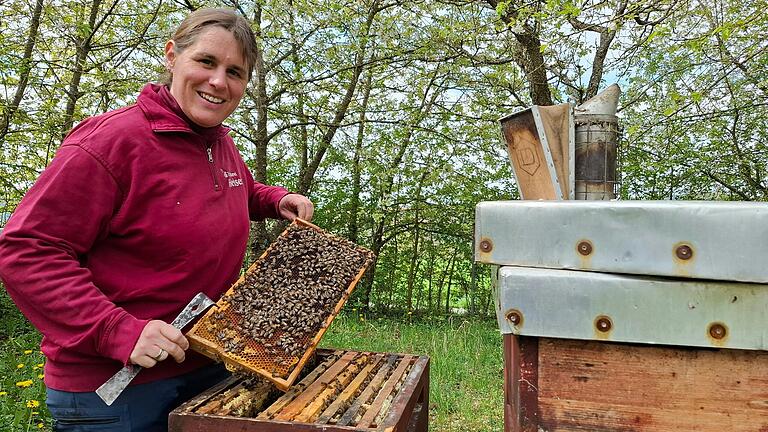Dorothea Heiser von der Imkerei Heiser in Lengfurt zeigt, wie sich die Bienen im Kasten tummeln. Dorothea Heiser von der Imkerei Heiser in Lengfurt zeigt, wie sich die Bienen im Kasten tummeln.