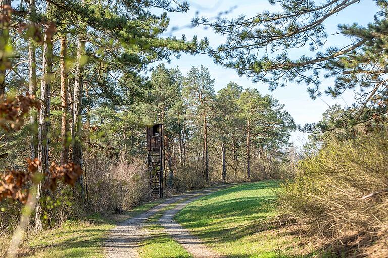 Wandern auf dem Kirschenweg in Leinach.