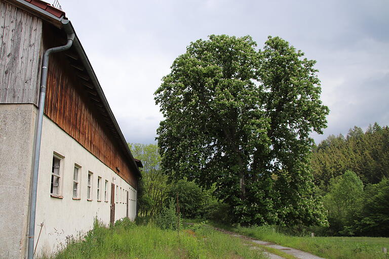 Das Stallgebäude im Erlenfurter Hof, der jüngste Gebäudetrakt des Vierseithofes, wurde in den 1960er Jahren gebaut und soll abgerissen werden.