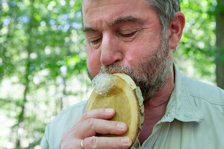 Durch das Splintholz, den äußeren hellen Bereich der Baumscheibe, zieht der Baum Wasser aus den Wurzeln nach oben. Durch die Wasserröhrchen im Splintholz kann man deshalb Seifenblasen pusten, wenn man das Holz vorher mit der Seifenmischung einreibt.&nbsp;