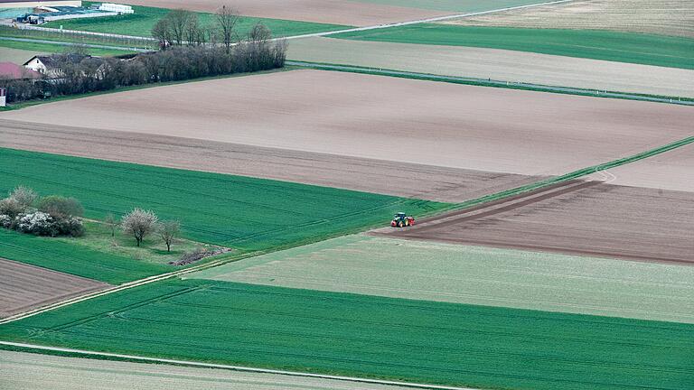 Die Stadt Karlstadt will auf ihren Flächen die Biodiversität fördern. Nicht alle Stadträte sind von der Strategie überzeugt. (Archivfoto)