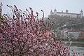 April, April, der macht, was er will: Das frühlingshaft-warme Wetter in Unterfranken ist einem winterlichen Tief gewichen.