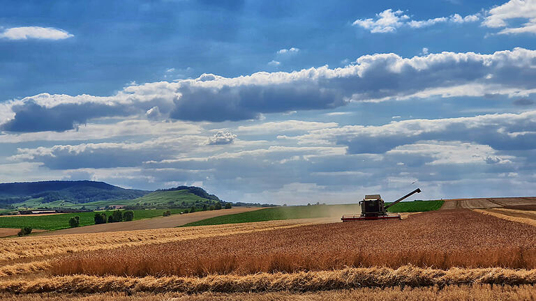 Das sonnige Juli-Wetter hatte auch eine gute Seite: Die Bauern konnten das Getreide trocken ernten. Das sonnige Juli-Wetter hatte auch eine gute Seite: Die Bauern konnten das Getreide trocken ernten.