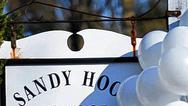 Blumenmeer: vor der Sandy-Hook-Schule.