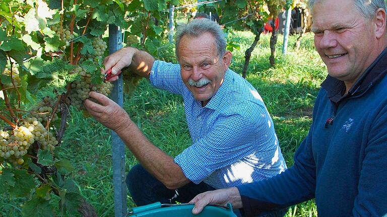 Ist wütend über die jüngste EU-Entscheidung zu Pflanzenschutzmitteln im Weinbau: Grüne-Landtagsabgeordneter Paul Knoblach (links), hier mit Winzer Uwe Geßner bei der Weinlese im Oktober in Garstadt.