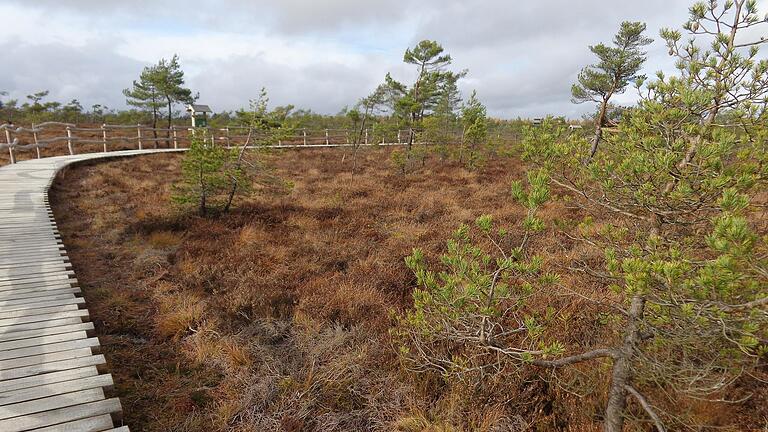 Das Schwarze Moor in der Rhön ist eines der bedeutendsten Hochmoore in Mitteleuropa. Doch um den Umgang mit dem zunehmenden Baumwuchs schwelt ein heftiger Streit.