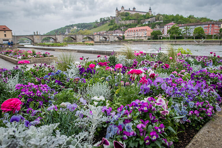 Blumenbeete machen Arbeit: Die Blumen müssen gegossen und verwelkte Blüten von Hand abgezupft werden. Blumenbeete machen Arbeit: Die Blumen müssen gegossen und verwelkte Blüten von Hand abgezupft werden. 