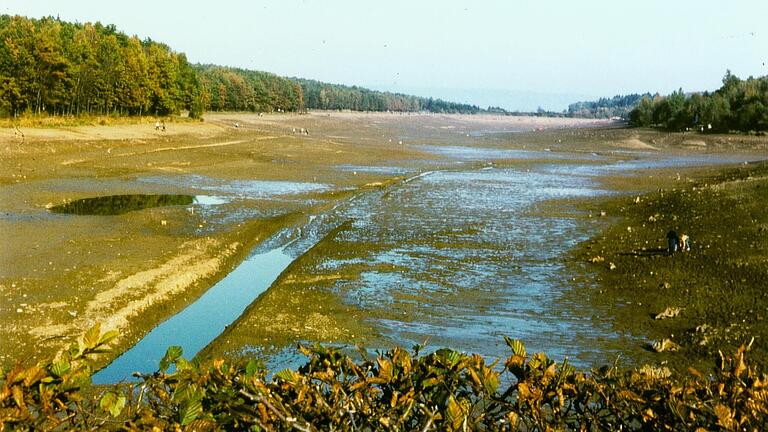 So wird der Ellertshäuser See ohne Wasser aussehen: Das Foto entstand nach dem Ablassen 1983.