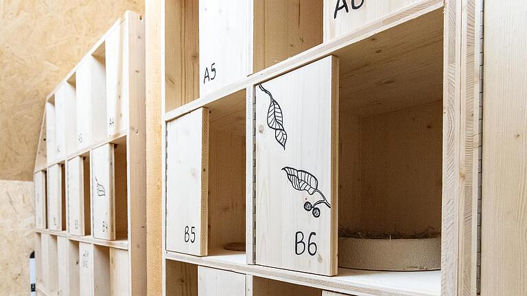 Einfach, aber schön und praktisch zu reinigen: Die Einrichtung im Taubenschlag im Höpperles Turm. Aktive des Vereins Pro Animale haben die Boxen und Wände des Taubenschlags liebevoll verziert. Einfach, aber schön und praktisch zu reinigen: Die Einrichtung im Taubenschlag im Höpperles Turm. Aktive des Vereins Pro Animale haben die Boxen und Wände des Taubenschlags liebevoll verziert.