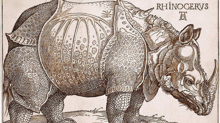 Albrecht Dürers Rhinozeros von 1515: Das unglückliche Vorbild ertrank auf hoher See. Albrecht Dürers Rhinozeros von 1515: Das unglückliche Vorbild ertrank auf hoher See.