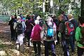 Die Wallfahrtsgruppe aus der Pfarrgemeinde Oberleichtersbach lief auf dem Weg zum Kreuzberg durch den Herbstwald. Foto: Christa Schmäling       -  Die Wallfahrtsgruppe aus der Pfarrgemeinde Oberleichtersbach lief auf dem Weg zum Kreuzberg durch den Herbstwald. Foto: Christa Schmäling
