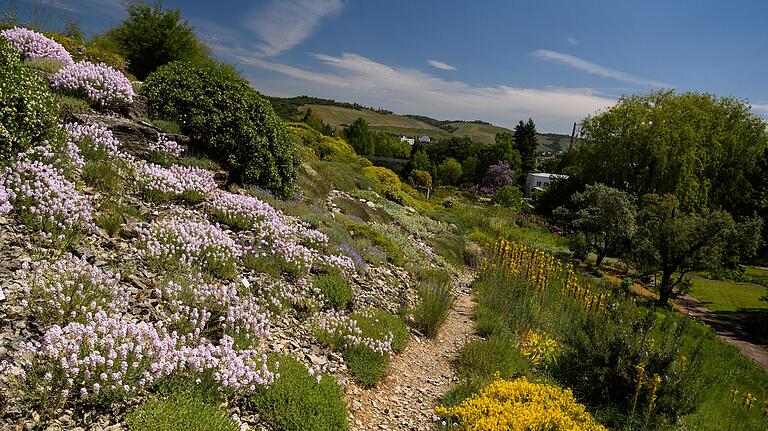 Im Botanischen Garten Würzburg finden sich über 9000 Pflanzenarten.