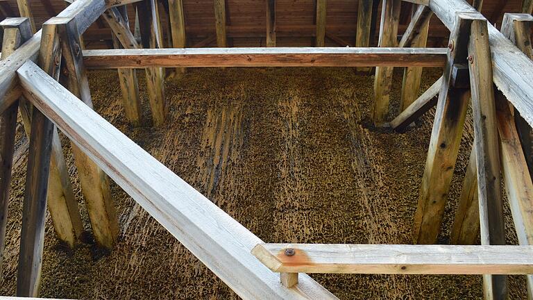 Blick von unten nach oben: Die verzinkten Stahlverbindungsteile in der Holzkonstruktion des Gradierbaus sind im Lauf der Jahre durch die herabrieselnde Sole korrodiert. Blick von unten nach oben: Die verzinkten Stahlverbindungsteile in der Holzkonstruktion des Gradierbaus sind im Lauf der Jahre durch die herabrieselnde Sole korrodiert.