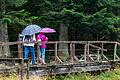 Wetter in Bayern       -  Bis mindestens Montag rechnet der Deutsche Wetterdienst mit Regen in Teilen Bayerns (Archivbild).