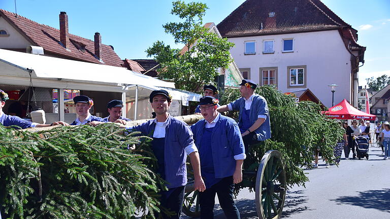 Zum Auftakt des Friedens- und Kirchweihfests in Gochsheim stellten die zwölf Planburschen am Samstag den Planbaum auf, unter dem Applaus der zahlreichen Zuschauer.