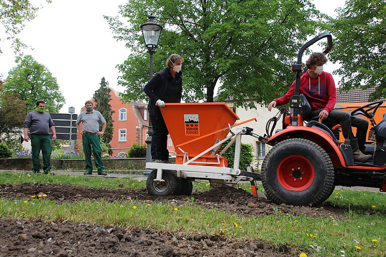 Im Mai 2020: Die Stadtgärtnerei lässt Blumenzwiebeln für Lilien in den Boden einbringen.