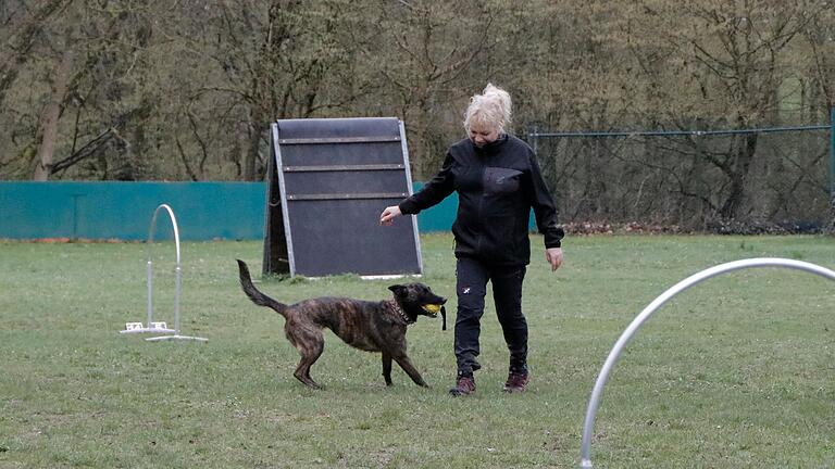 Manuela Münch und ihre Hündin Chica beim Hoopers-Parcour am Tag der offenen Tür in Marktheidenfeld. Die beiden zeigen, dass der Sport 'Fun' für Mensch und Hund sein kann.