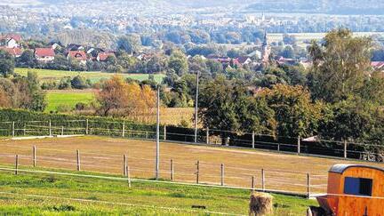 Gute Lage: Der potenzielle Wohnmobilstellplatz am Forellenhof in Diebach.