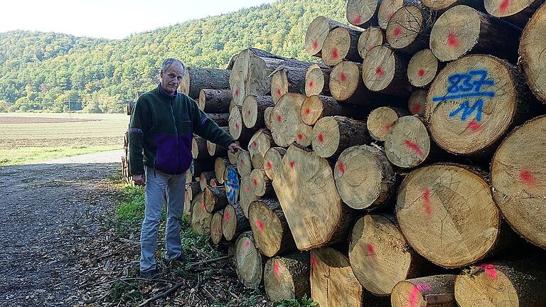 Gemündens Stadtförster Meinolf Arndt, hier an der Staatsstraße Gemünden-Schönau, an einem der Polter Käferholz: Wann kauft jemand das Holz, zu welchem Preis und wann wird es abgeholt?