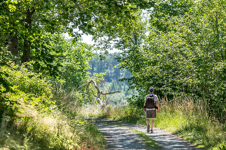 Der Wanderweg führt mitten durch die Natur.