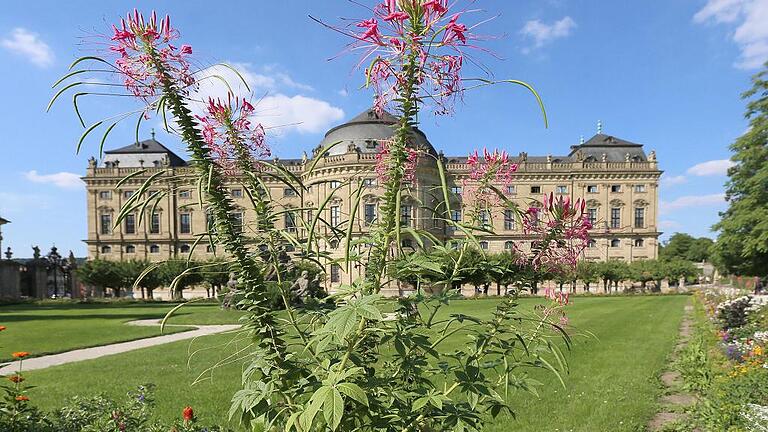 Immer wieder ein Hingucker: Der Hofgarten der Residenz.