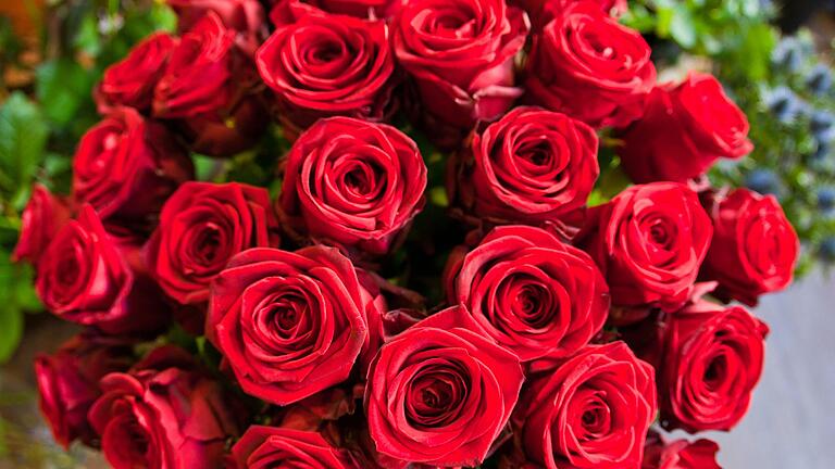 Rote Rosen für die Liebste - aber bitte Fairtrade, sagt die Kreisgruppe Würzburg des Bund Naturschutz. Rote Rosen für die Liebste - aber bitte Fairtrade, sagt die Kreisgruppe Würzburg des Bund Naturschutz.