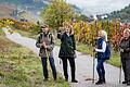 Die Natur im Herbst und ihre regionaltypischen Besonderheiten lassen sich besonders gut bei geführten Wanderungen während der Taubertäler Wandertage am zweiten Oktoberwochenende erleben.