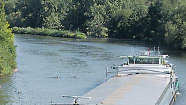 Main als Arbeitsplatz: Ein Frachtschiff.