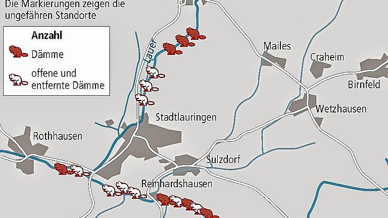 Biberdämme bei Stadtlauringen (Stand August 2016) Biberdämme bei Stadtlauringen (Stand August 2016)