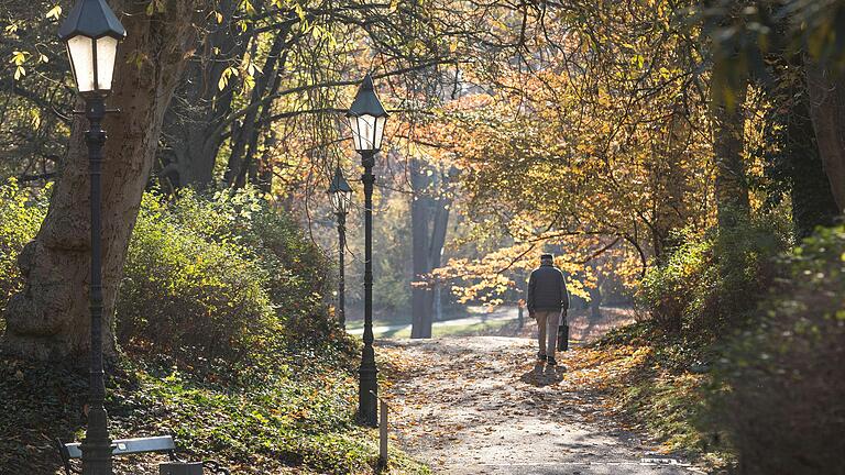 Nicht nur bei Spaziergängerinnen und Spaziergängern ist die Route durch den Ringpark in Würzburg beliebt. Sie gilt auch als beliebte Jogging-Strecke.