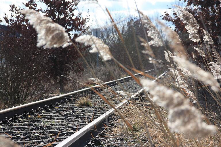 Die Bahntrasse mit den Gleisen der stillgelegten Steigerwaldbahn bei Gerolzhofen Richtung der Hörnau vor einem Jahr. Die Bahntrasse mit den Gleisen der stillgelegten Steigerwaldbahn bei Gerolzhofen Richtung der Hörnau vor einem Jahr.