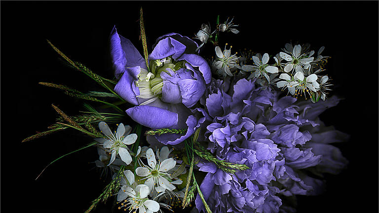 Mainfränkisches Fotofestival 2019:Blaue Pgingstrose von Irmgard Sell (BSW Fotogruppe Würzburg) mit Medaille