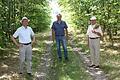 Heute wächst auf der einst kahlen Flur ein stattlicher Wald, über den sich (von links) Bürgermeister Ullrich Werner, Bauhofleiter Walter Zeißner und Altbürgermeister Wendelin Fenn freuen.