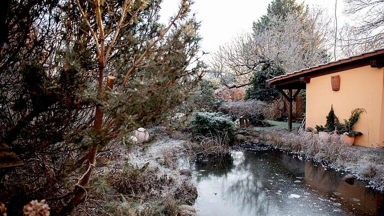 Winterlicher Gartenteich.jpeg       -  Viele Insekten überwintern in unseren Gärten. Wie sie das tun, welche anderen Überwinterungsstrategien die Tiere noch auf Lager haben und wie man ihnen dabei helfen kann, erfahren Sie in diesem Artikel.