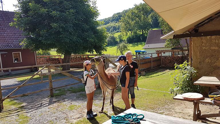 Bei den Retztal Lamas von Kerstin Spott zu Gast. Bei den Retztal Lamas von Kerstin Spott zu Gast.