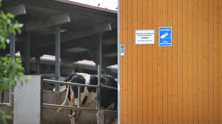 Dem Vorwurf der Tierquälerei sieht sich ein landwirtschaftlicher Großbetrieb in Bad Grönenbach im Allgäu ausgesetzt.Die Staatsanwaltschaft ermittelt.