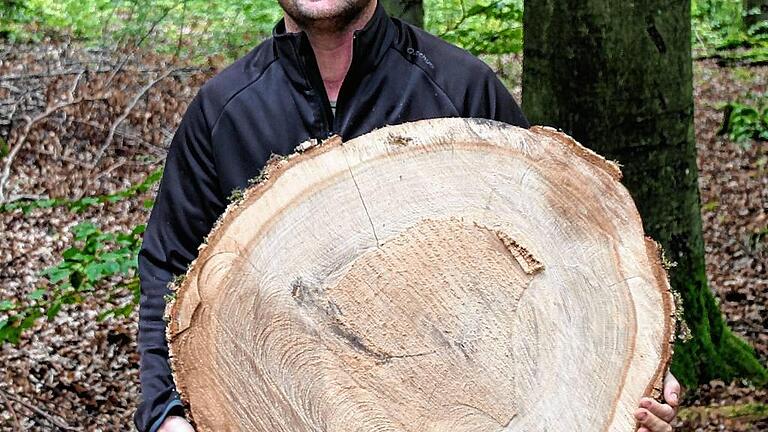 Förster Wallrapp mit einer Eichenscheibe aus dem Wald des Juliusspitals.